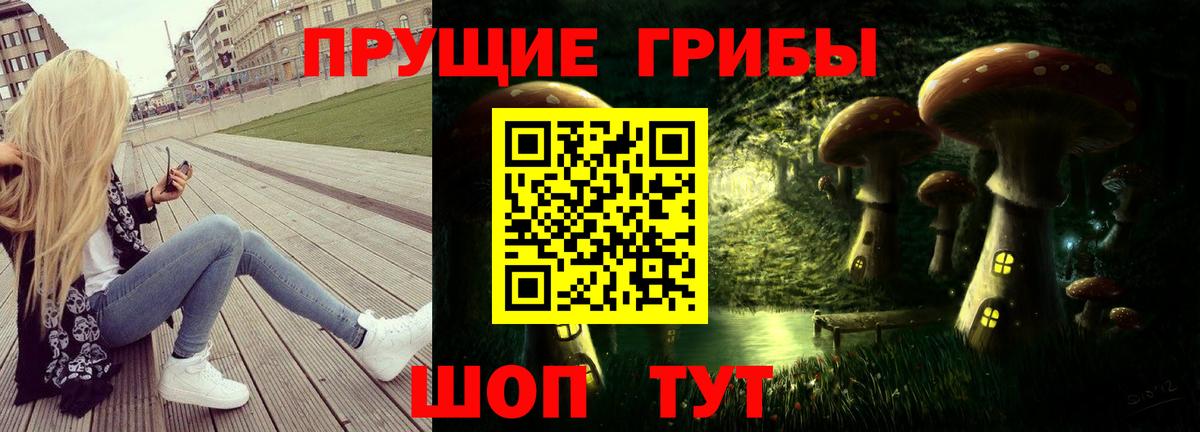 Псилоцибиновые грибы GOLDEN TEACHER  Псилоцибиновые грибы Cubensis  дарнет шоп  Вход с VPN  Краснокаменск 